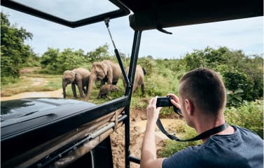 Willpattu National Park